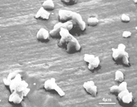 気象庁HP　黄砂粒子の顕微鏡写真